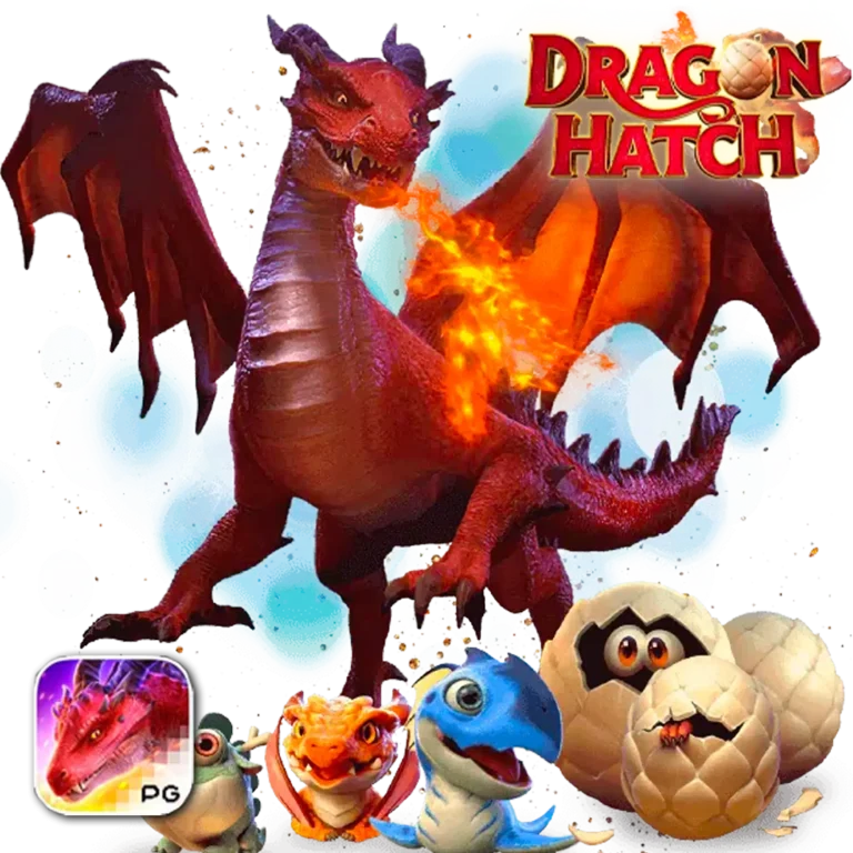 kisadabet เว็บตรง